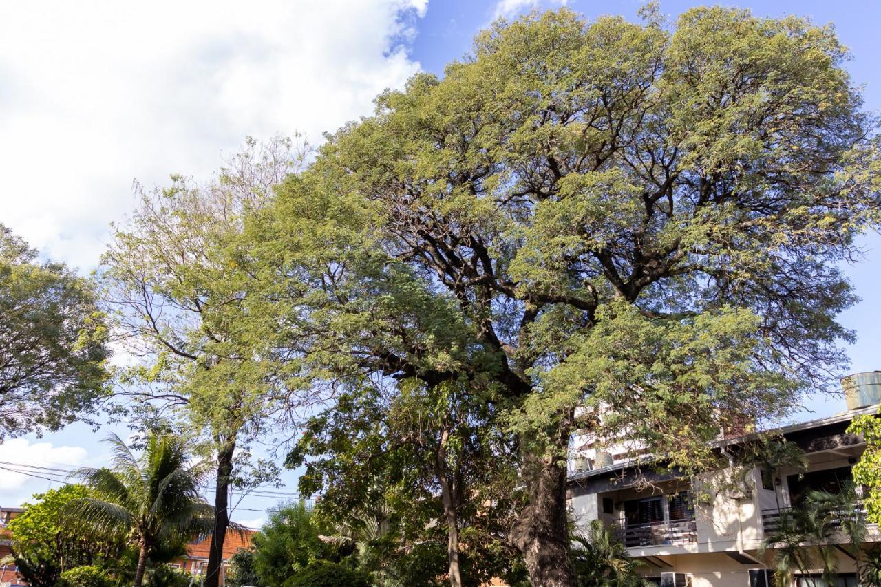 Das Heim Hotel Asuncion Ngoại thất bức ảnh